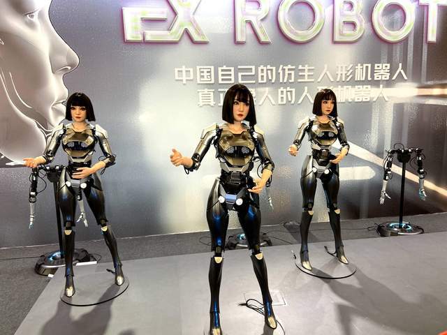 Japan's Humanoid Robot Market Struggles