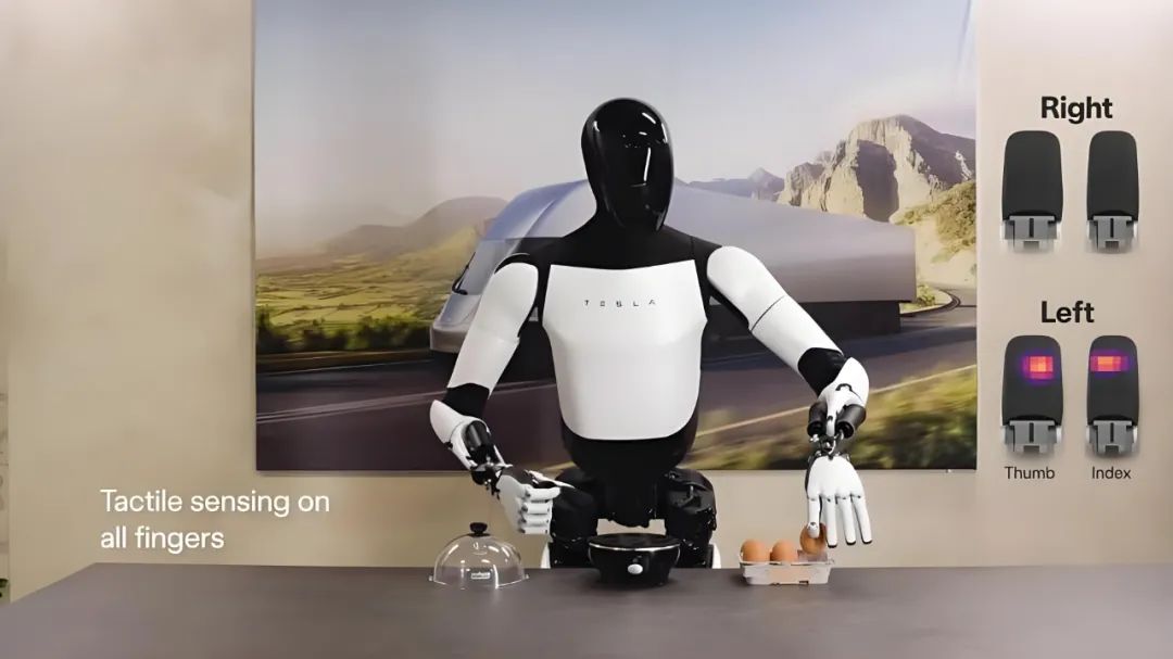 Humanoid Robotics Development