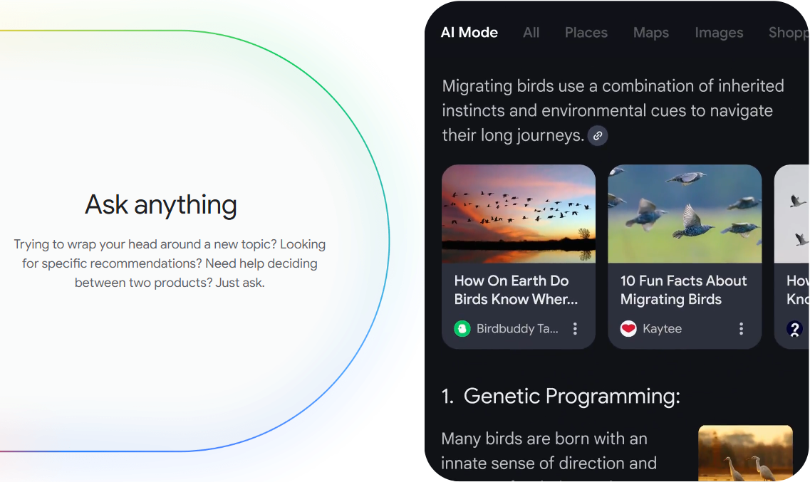 Google AI Mode