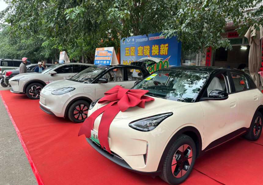 Diverse Range of NEVs for Rural Markets